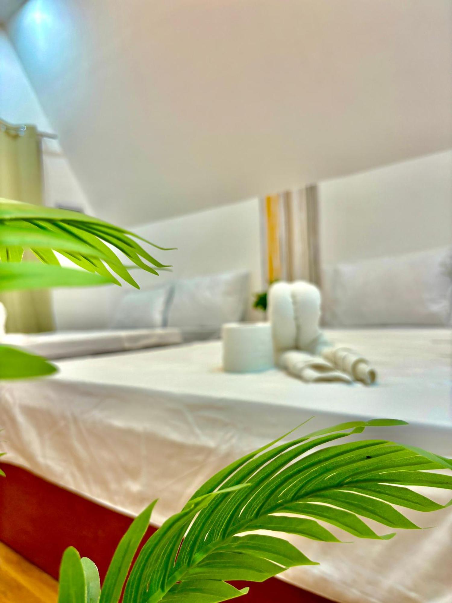 Villa Lovi Panagsama Beach 莫阿尔博阿 外观 照片