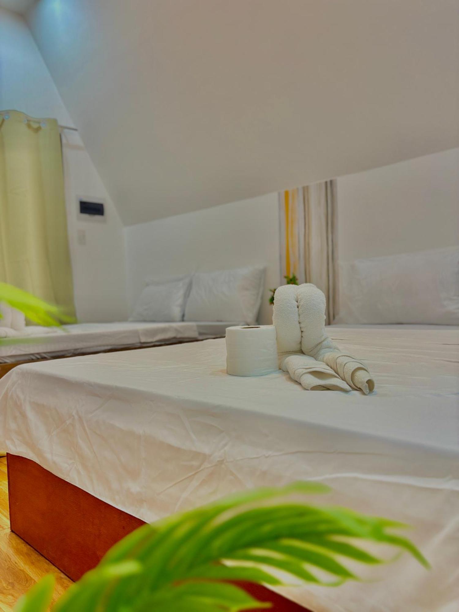 Villa Lovi Panagsama Beach 莫阿尔博阿 外观 照片